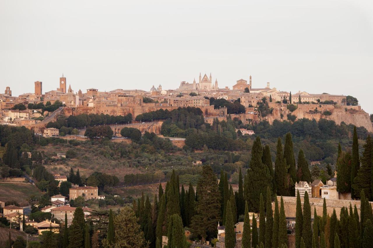 Domus Festina Lente Διαμέρισμα Ορβιέτο Εξωτερικό φωτογραφία